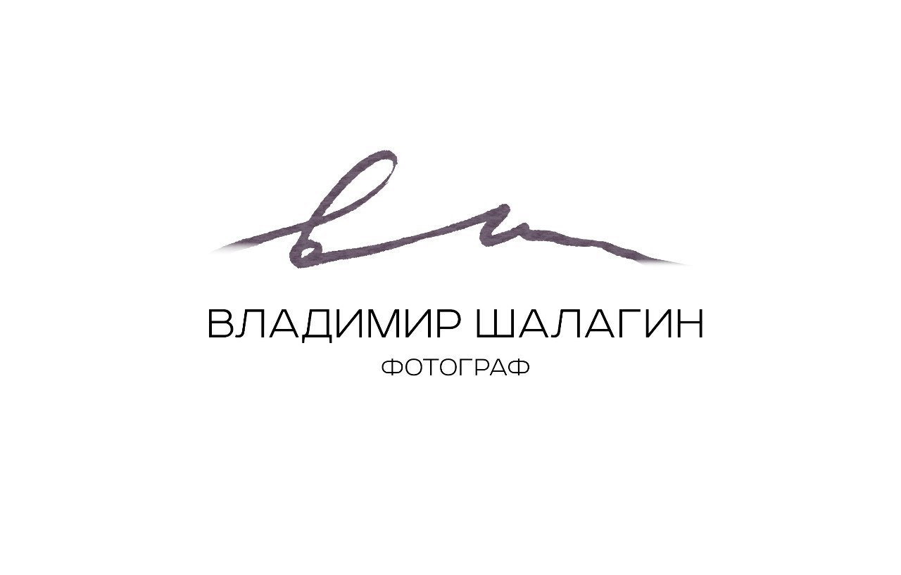 Шалагин владимир