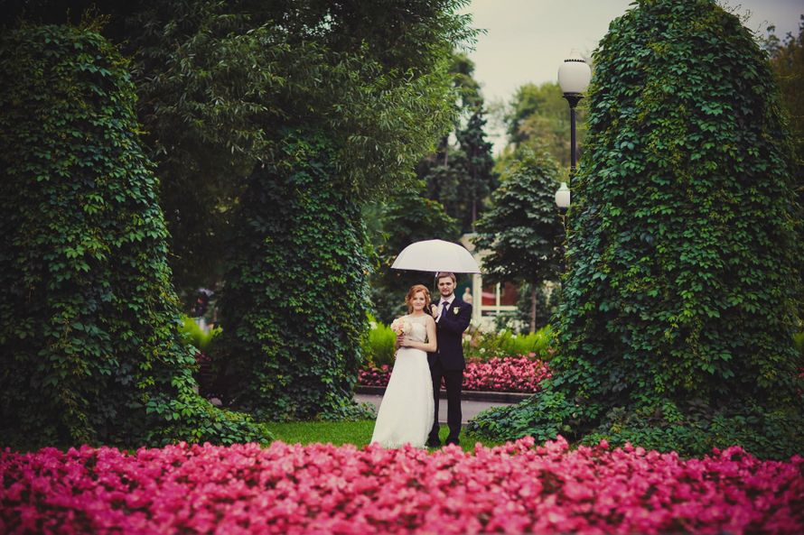 Фото 1477173 в коллекции Мои фотографии - Kookoosh