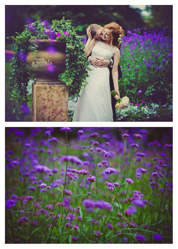 Фото 1481607 в коллекции Мои фотографии - Kookoosh