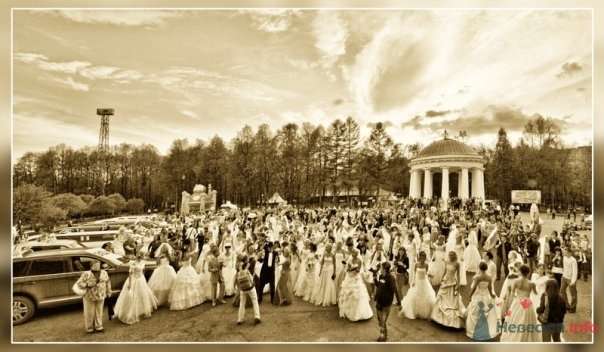 Фото 68999 в коллекции Свадебный Flashmob 2 "гламур и брутальность" - Организатор торжеств Антон Уткин