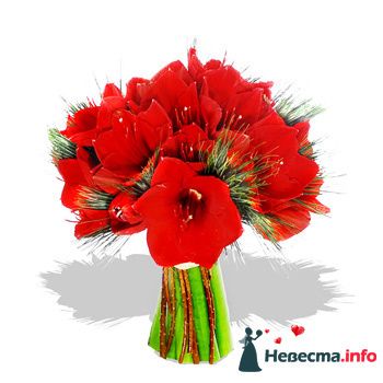 Фото 227429 в коллекции Мои фотографии - Darly