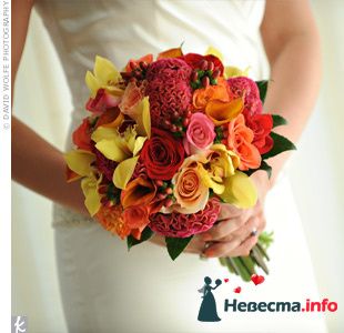 Фото 227433 в коллекции Мои фотографии - Darly