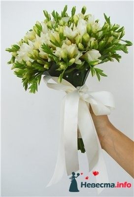 Фото 239768 в коллекции Мои фотографии - Darly