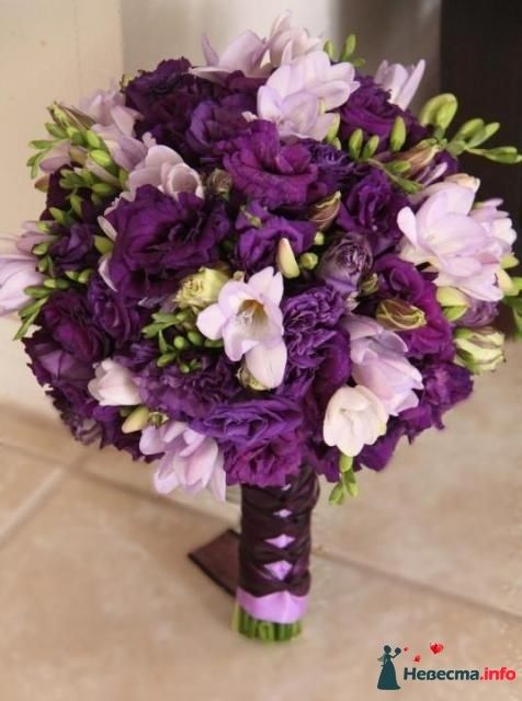 Фото 240566 в коллекции Мои фотографии - Darly