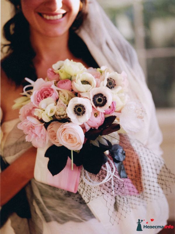 Фото 243510 в коллекции Мои фотографии - Darly