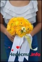 Фото 243543 в коллекции Мои фотографии - Darly