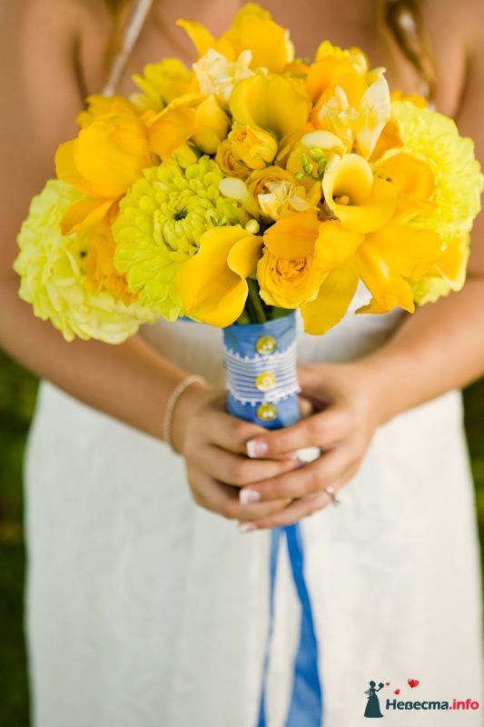 Фото 243548 в коллекции Мои фотографии - Darly