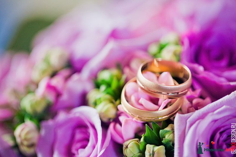 Золотые кольца, выполненные в классическом стиле с ободком по центру, на фоне розовых роз. - фото 181313 queen_of_rain