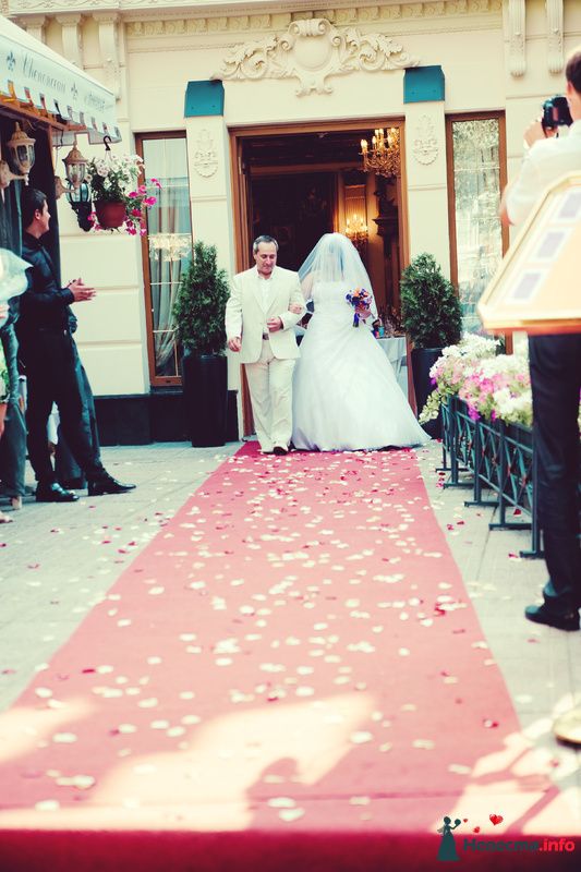 Фото 158667 в коллекции Мои фотографии - Алено4ка