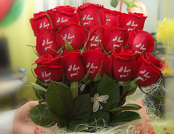 Фото 917513 в коллекции Мои фотографии - Цветочек:)