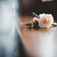 29.08.2015. Свадьба Елены и Ильи
Свадебный распорядитель - Анастасия Кикина
Координатор - Ирина Иосипчук