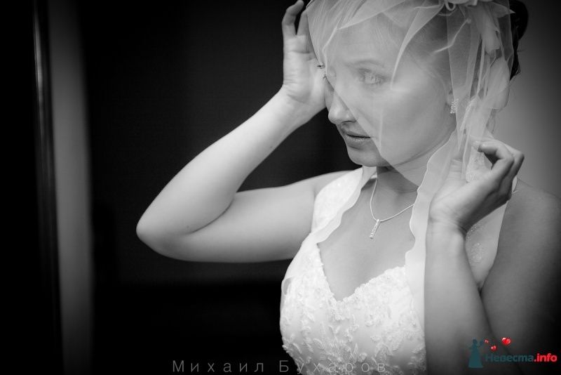 Фото 249593 в коллекции Wedding - Trofimovtv - видеосъемка