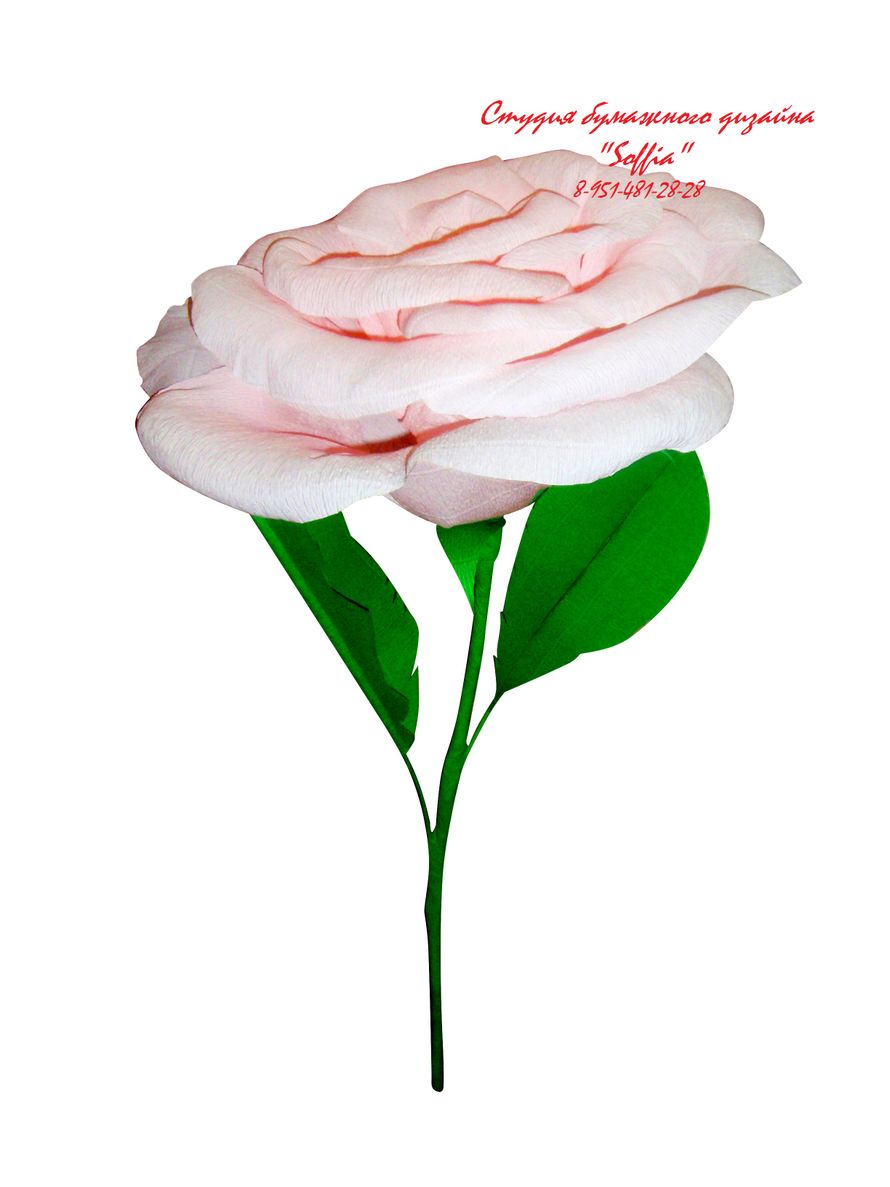 Гигантская роза для фотосессии - фото 2563025 Студия бумажного дизайна "Soffia"