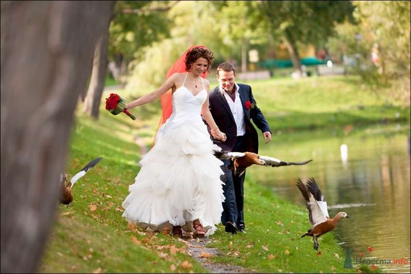 Жених и невеста идут вместе вдоль озера в парке - фото 53899 Tanuha