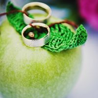 Зелёное яблоко с кольцами