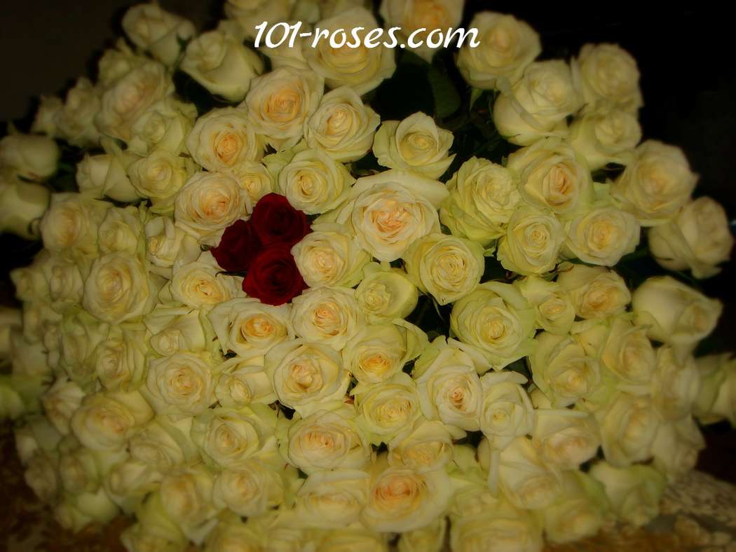 101 белая роза - фото 2410769 Студия цветов "101 роза"