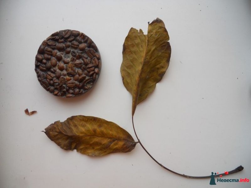 Фото 391966 в коллекции варианты - наперегонки