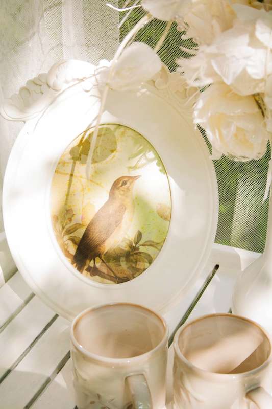 Оформление для фотосессии свадьбы в европейском стиле с использованием белой рамки с рисунком птицы, бежевых фарфоровых чашек - фото 1193985 Фотограф Дарья Сидорова