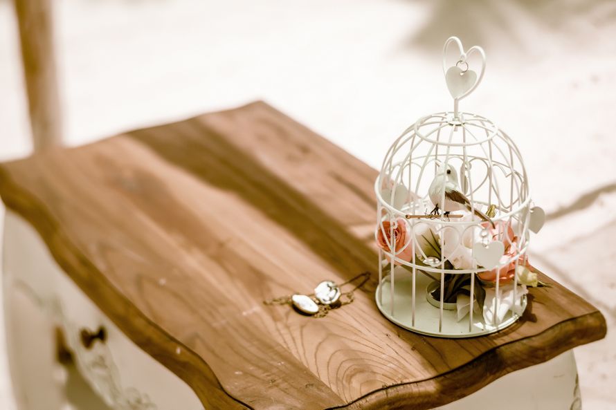 Оформление для фотосессии свадьбы в европейском стиле с использованием декоративной клетки, украшенной цветами, фигуркой птицы, - фото 1222975 Laki_86