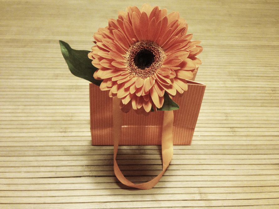 Фото 2297916 в коллекции Мои мастер-классы - Anna Smirnova