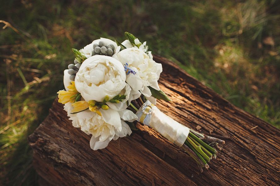 Букет невесты из белых пионов, серой брунии и желтых фрезий, декорированный белой атласной лентой  - фото 1566647 Фотограф Екатерина Малышева