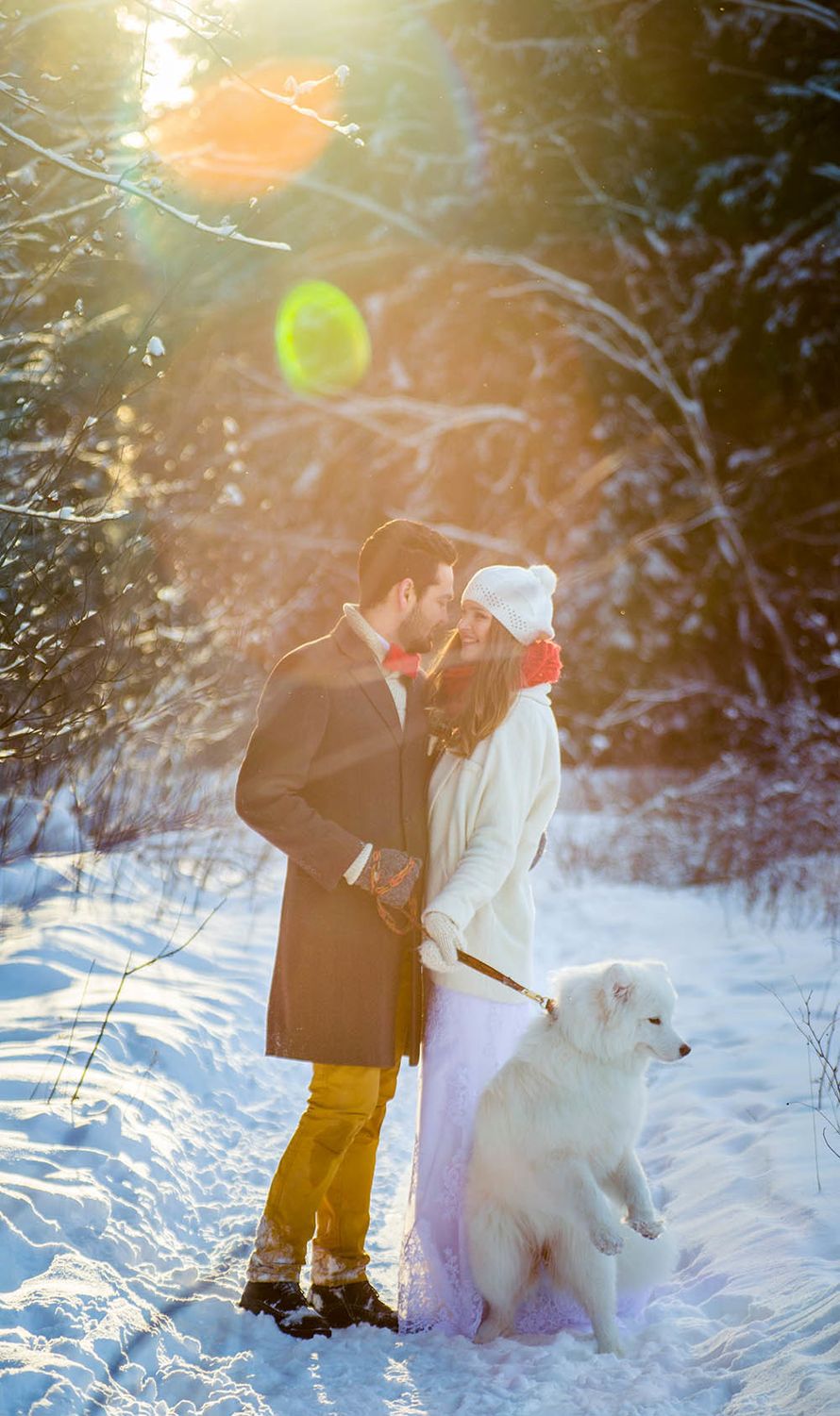 солнечное фото - фото 3725401 We-wed-profi - видеосъёмка