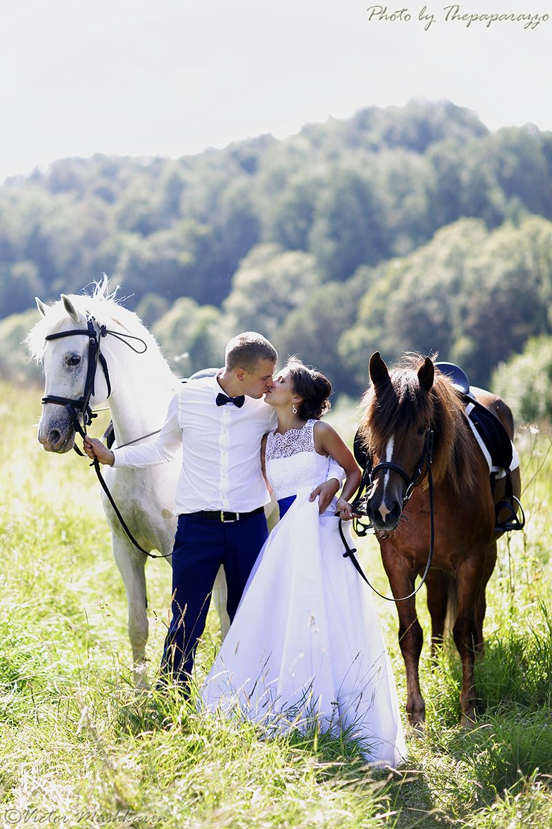 Жених т. Свадебная фотосессия с лошадьми. Жених и невеста на лошадях. Свадебная прогулка на лошадях. Невеста на лошади.