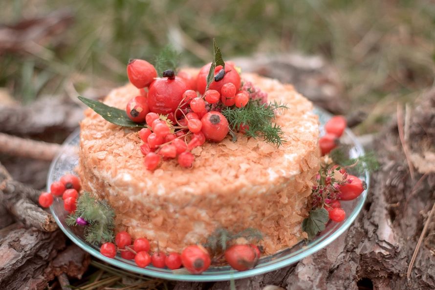 Небольшой торт украшенный красными ягодами. - фото 3262247 Фотограф Анна Рагушкина