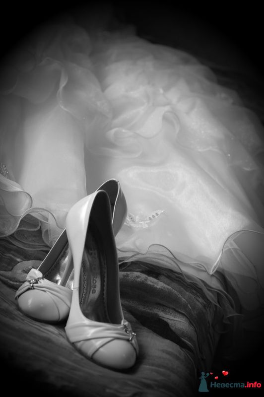 2009 год. Туфельки невесты. - фото 154450 Студия "Свет"