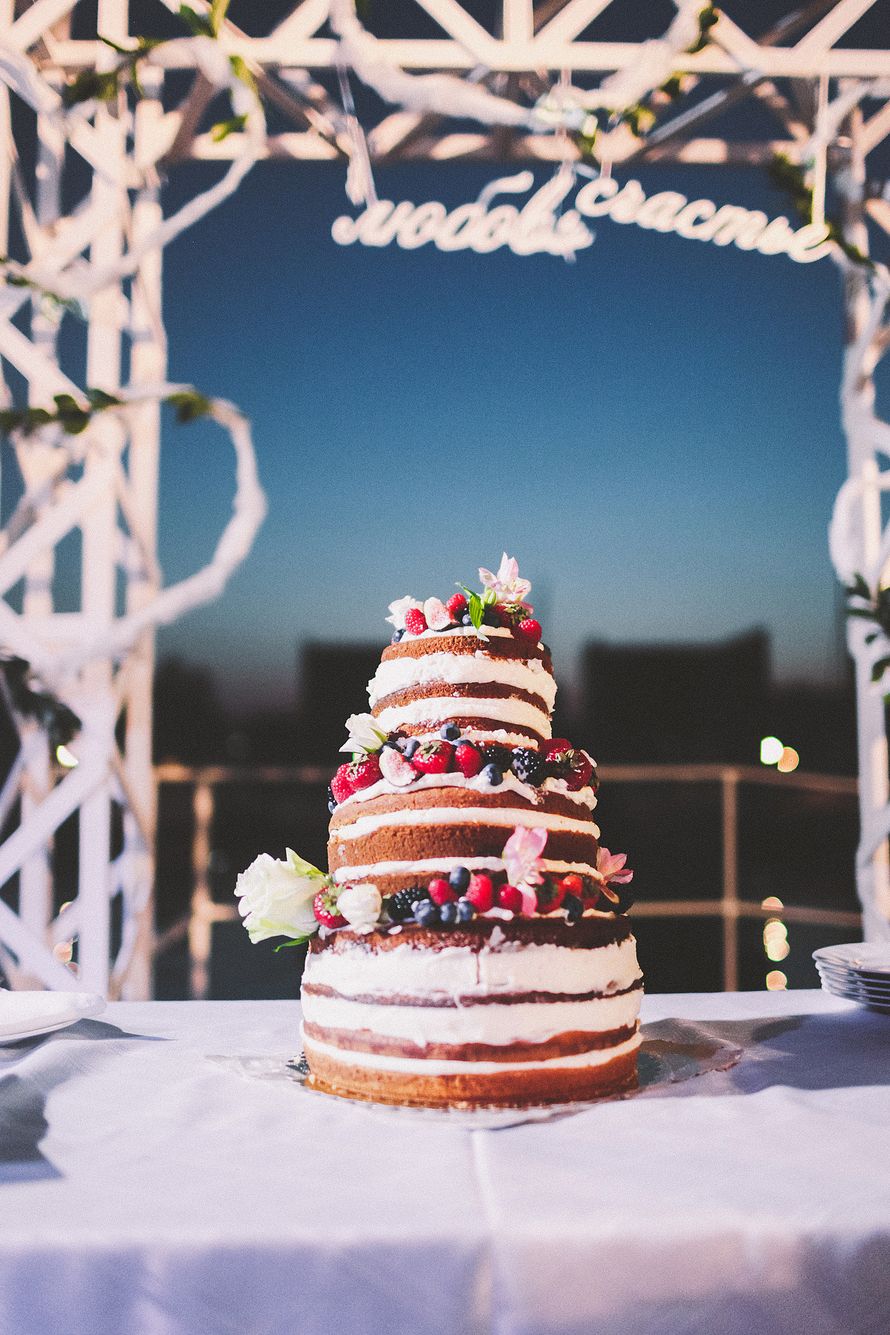 Трехъярусный шоколадный  торт на белом креме, украшен ягодами. - фото 3270923 Ekaterina Platonova
