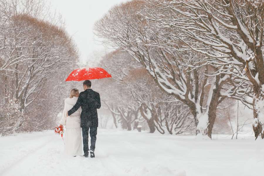 Зимняя сказка (красное по белому) - фото 3553945 Фотограф Павел Михайлов