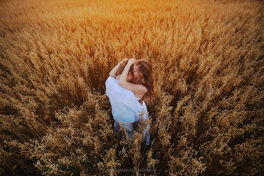 Фото 3755979 в коллекции Свадьба на закате лета - Фотограф Мария Цыганок