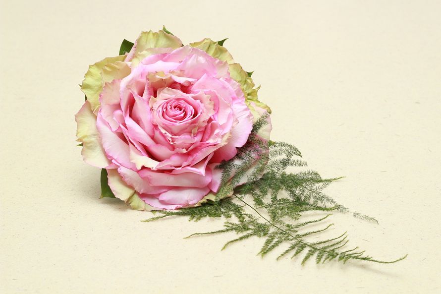 Фото 10432844 в коллекции Букет невесты - Флорист-студия - цветочная студия