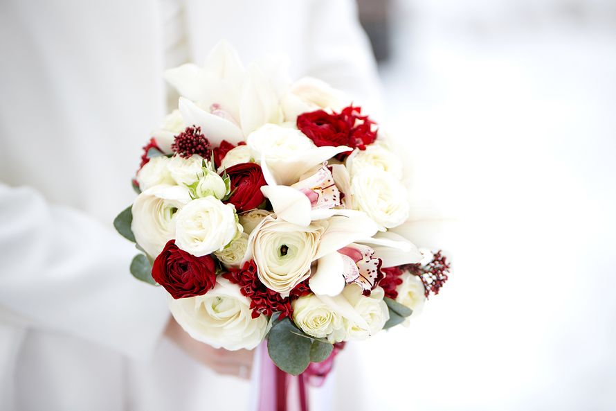 Фото 15164576 в коллекции Виталий и Светлана - Слава Гребенкин - фотограф