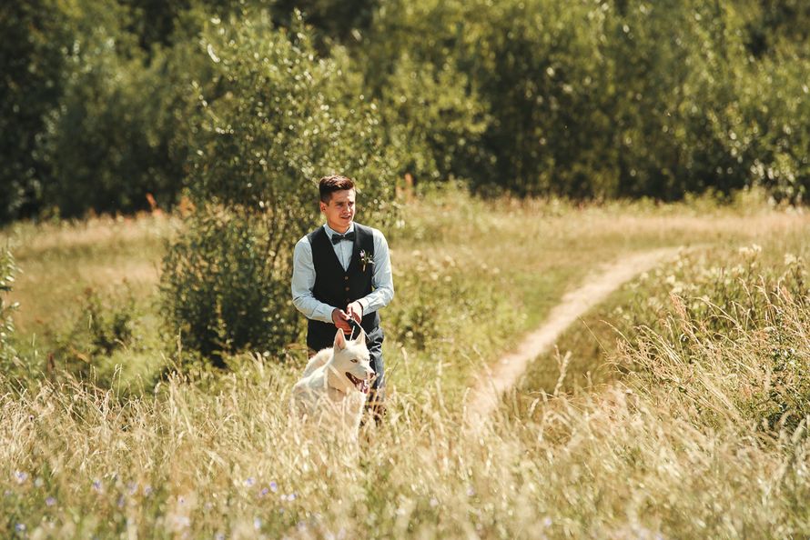 Фото 17304162 в коллекции Жаркий июль. Полуденная прогулка. - Фотограф Надежда Шутина