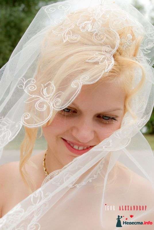  фотография невесты в Краснодаре - фото 367923 Alexandrof-wedding photographer