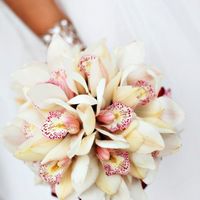 Букет из цветов орхидей цимбидиум!
#floristSvetaGubska #СтудияКирия #Kiriya #свадьба #свадебныйбукет #букетневесты #wedding #weddingflower #weddingbouquet #орхидея #цимбидиум