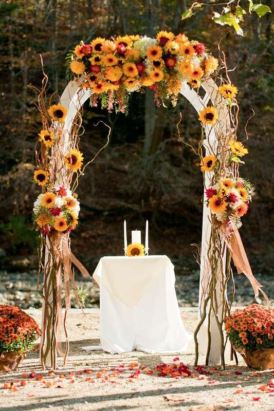 Осенняя арка - фото 6919688 Невеста01