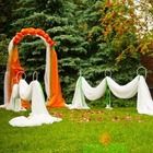 Свадебная арка оранжевая