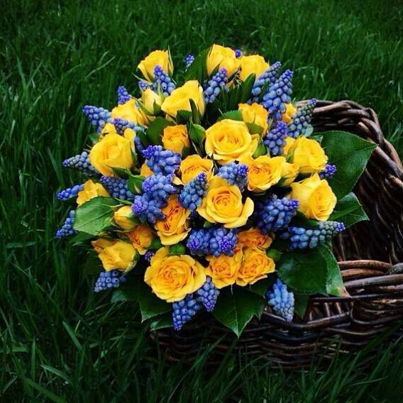 Ярко-желтые розы - фото 6119769 Радости