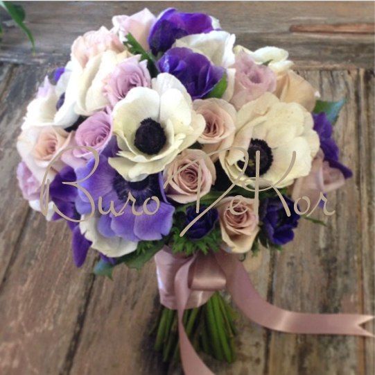 Фото 7584554 в коллекции :) - Распорядитель Амина Минкина