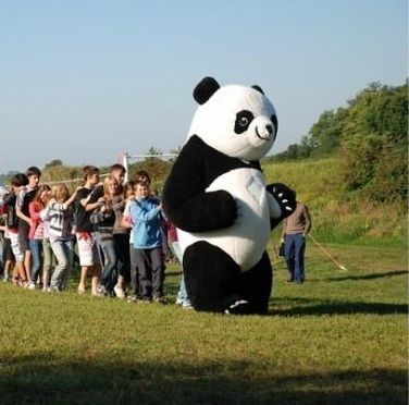 Фото 7844940 в коллекции Танцующая гигантская ПАНДА - Шоу Танцующая Панда
