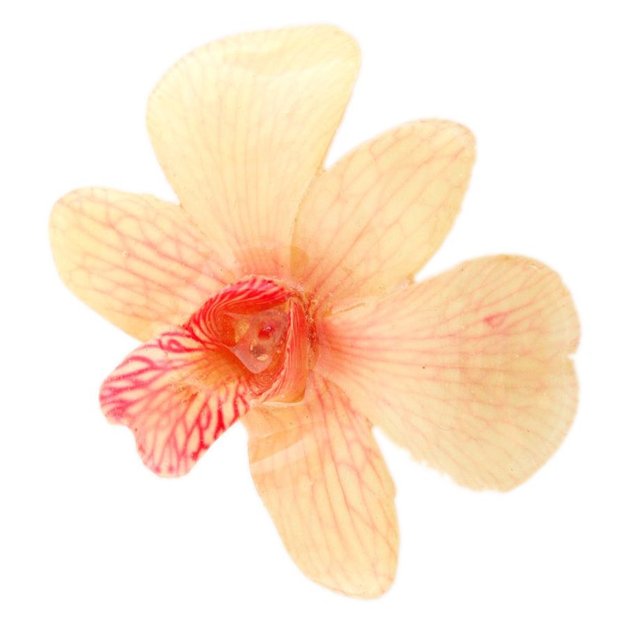 Фото 8154916 в коллекции Орхидеи - Элитная бижутерия, Камаева Юлия Александровна