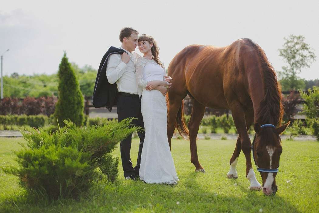 Фото 8215210 в коллекции Территория вашей свадьбы - Досуговый конный центр "Пегас"