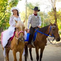 Ковбойская свадьба
Выездная регистрация