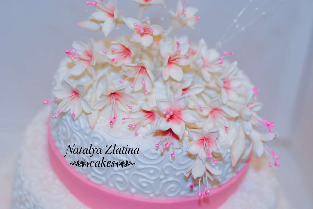 Фото 11292296 в коллекции Свадебный торт - Торты Beautycake