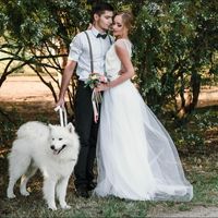 Нестандартные свадебные фотосессии с животными!!!!