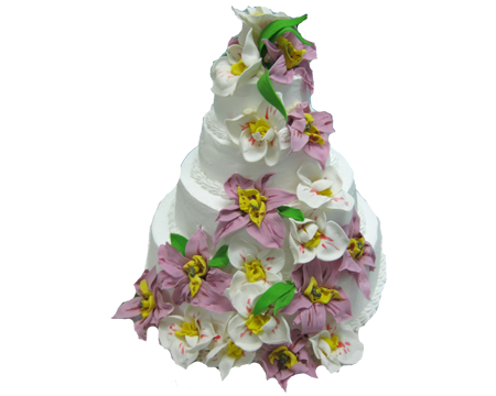 Фото 2983509 в коллекции Свадебные торты - Кондитерская Napoleon