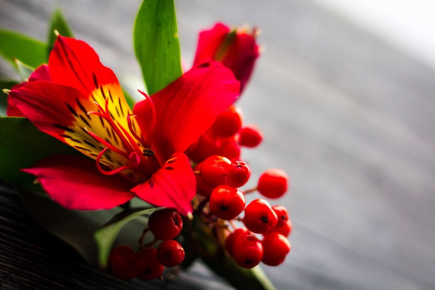 Фото 12883162 в коллекции Свадьбы  - Фотограф Анастасия Чернышова