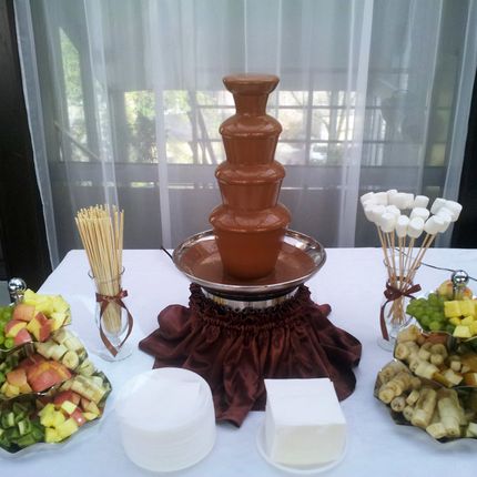 Шоколадный фонтан на 20-30 гостей